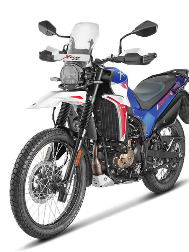 Hero XPulse 210 Rally Factory Bike मार्केट में हुआ लांच
